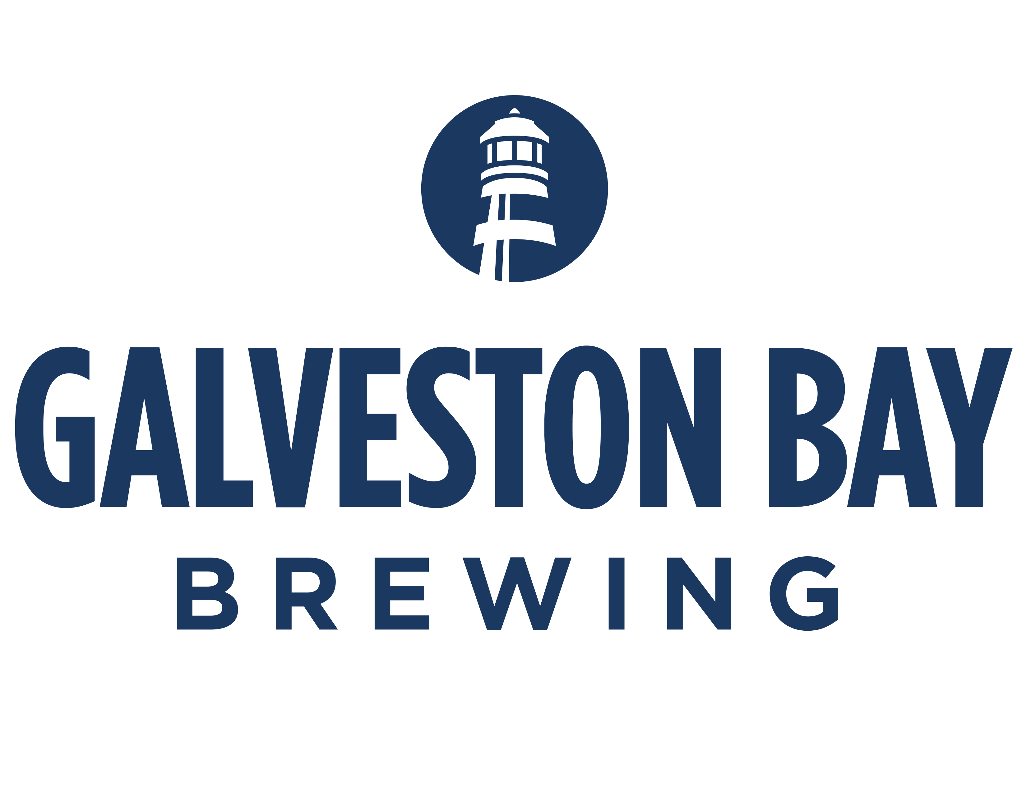 Galveston Bay Brewing